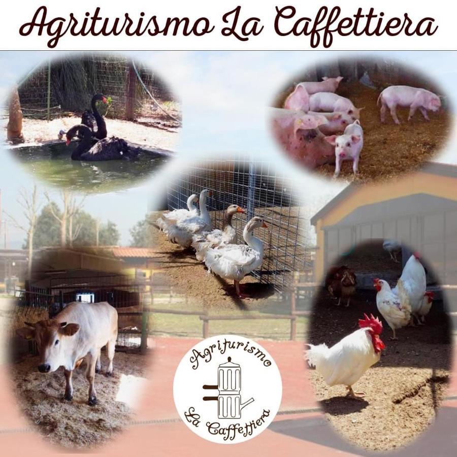 Sparanise Agriturismo La Caffettieraヴィラ エクステリア 写真